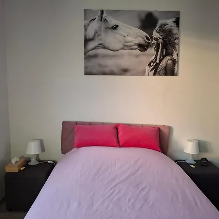 La Vie En Rose Apartment